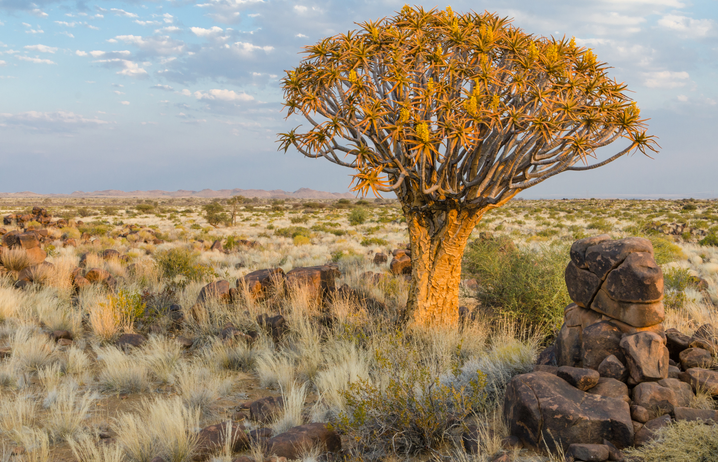 Namibia entdecken