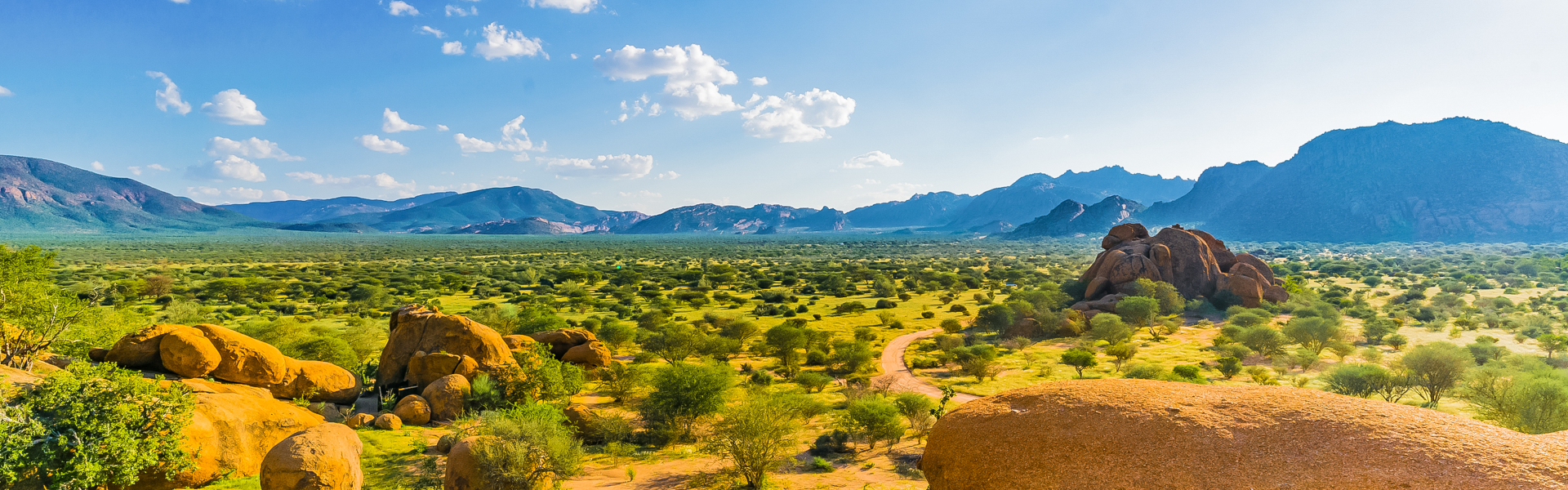 Namibia Natur & Tiere intensiv