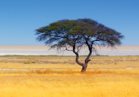 Namibia Mietwagenreise - Namibia Highlights Family-Tour