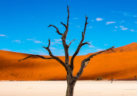 Autoreise Namibia - Südafrika & Swaziland - Höhepunkte Namibia